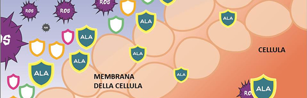 ACIDO ALFA LIPOICO